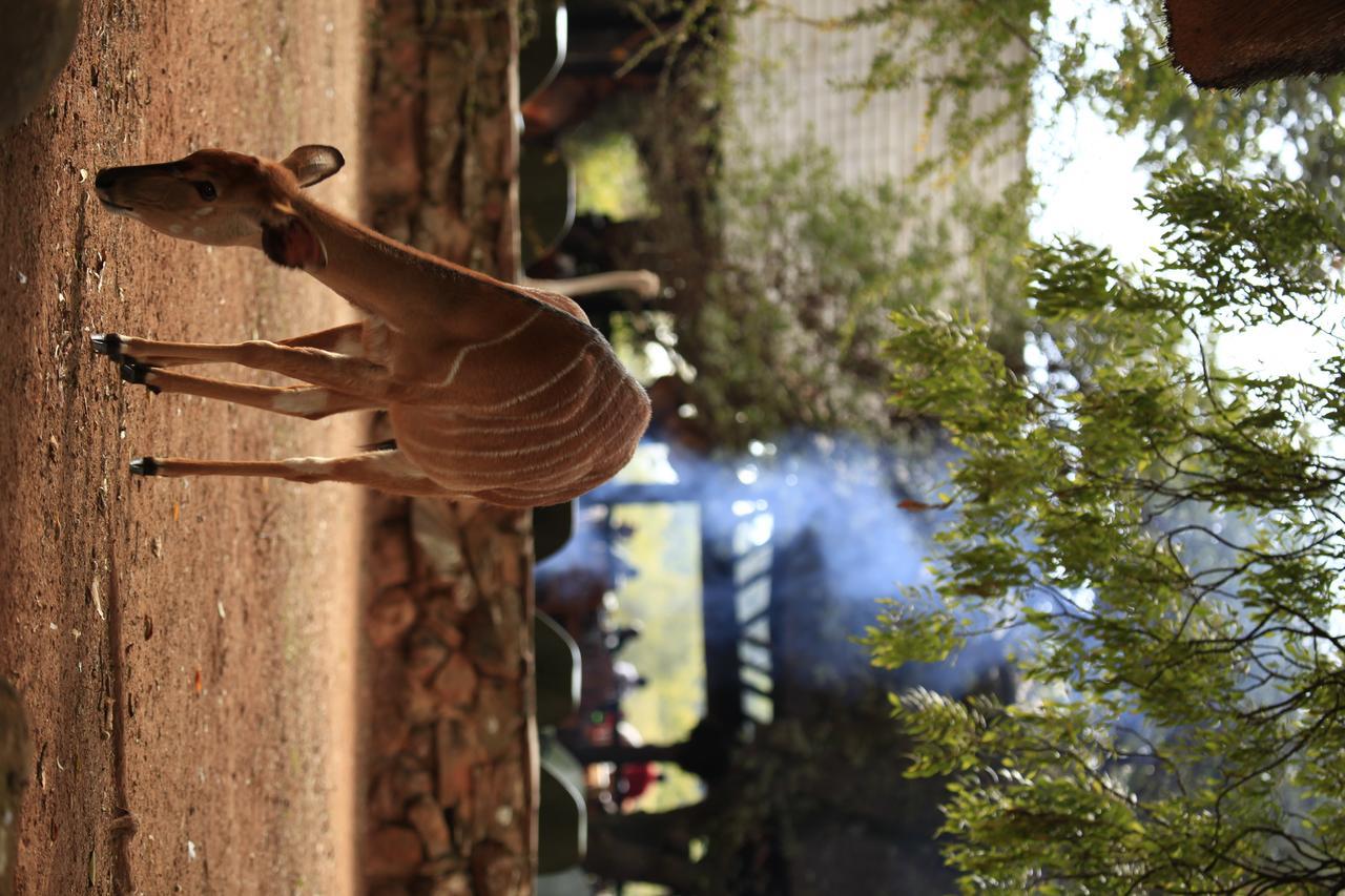 Mlilwane Game Sanctuary Villa Lobamba Eksteriør billede